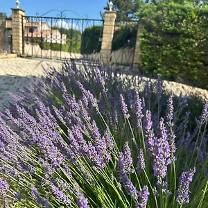 les-clematites.hotels-rhonealpes.com/